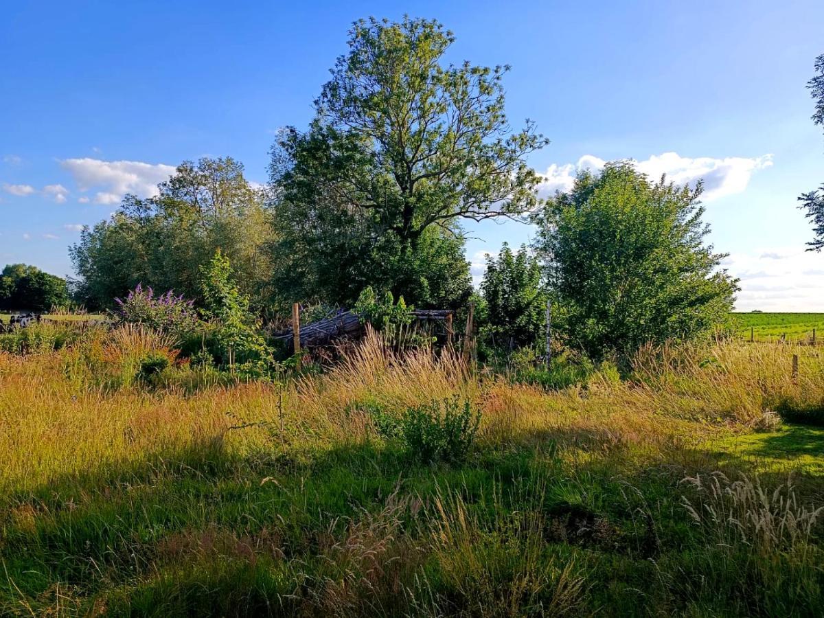 Au Pied Du Trieu, The Glamping Experience Hotel Labroye Eksteriør billede