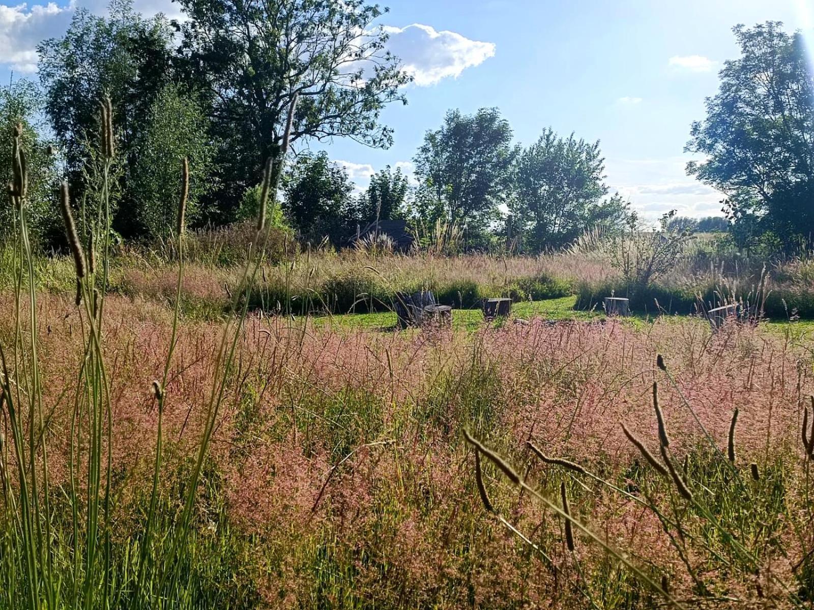 Au Pied Du Trieu, The Glamping Experience Hotel Labroye Eksteriør billede